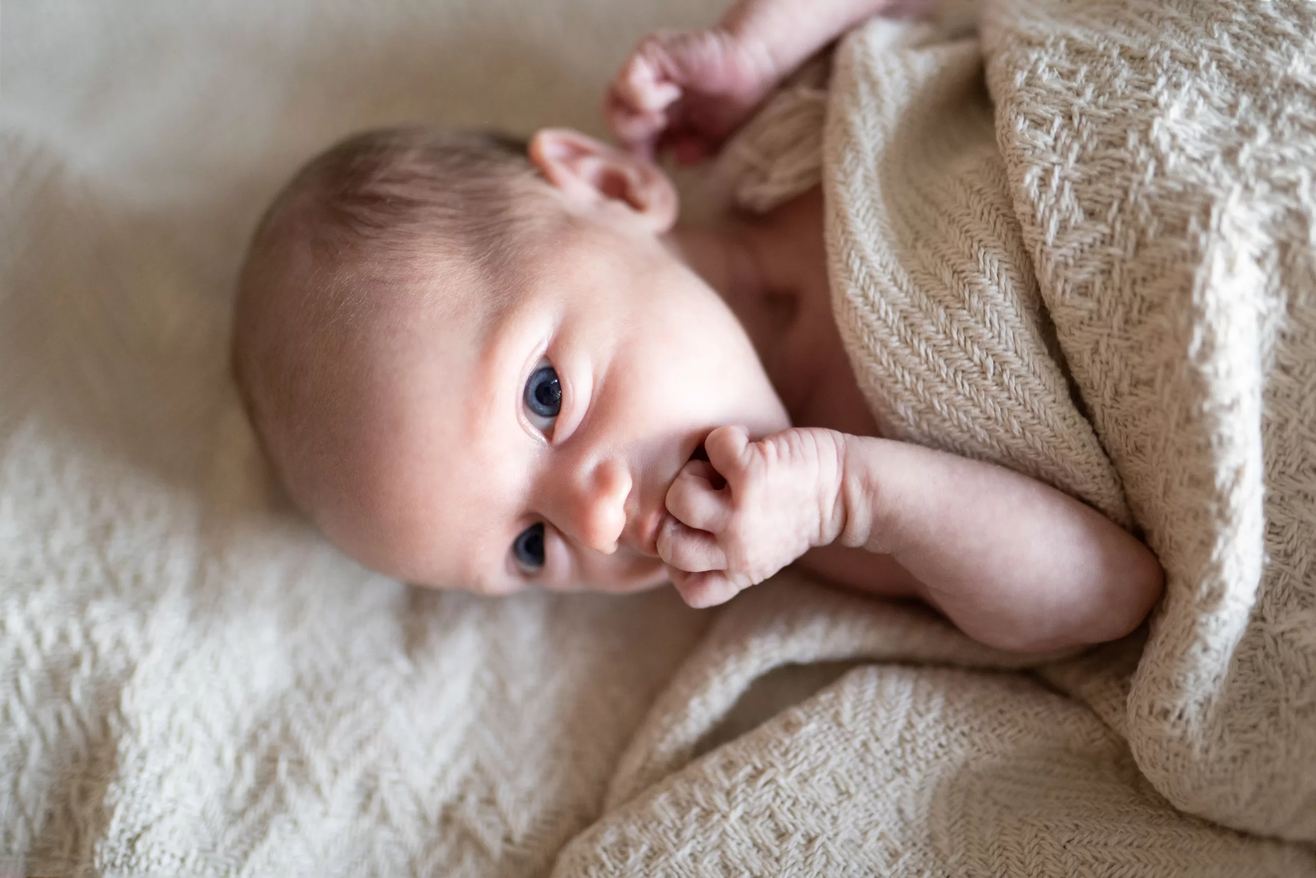 Newborn fotografie