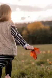 Boskovice a okolí